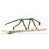 Image 4 : WALKING CAT   MAGNIFICENT BRONZE SCULPTURE AFTER DIEGO GIACOMETTI
