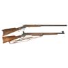Image 1 : Two Rifles