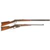 Image 1 : Two Winchester Rifles