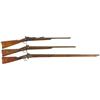Image 1 : Three Antique Long Guns