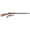 Image 1 : One Rifle and One Pistol