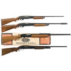 Four Shotguns