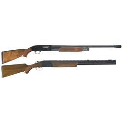 Two Shotguns