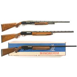 Three Shotguns