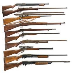 One Air Rifle and Nine Long Guns