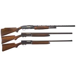 Three Shotguns