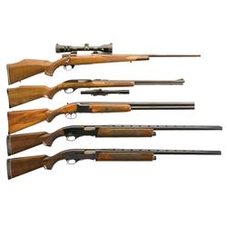Three Shotguns & Two Rifles