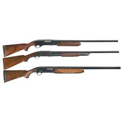 Three Shotguns