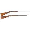 Image 1 : Two Long Guns