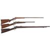 Image 1 : Three Long Guns