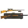 Image 1 : Two Long Guns