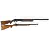 Image 1 : Two Long Guns