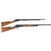 Image 1 : Two Winchester Rifles