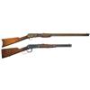 Image 1 : Two Long Guns