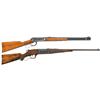 Image 1 : Two Long Guns