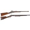 Image 1 : Two Long Guns