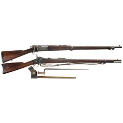 Two U.S. Military Rifles