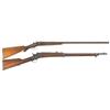 Image 1 : Two Long Guns