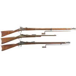 Three U.S. Springfield Rifles