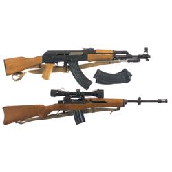Two Semi-Automatic Rifles