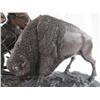 Image 2 : A10-5 BUFFALO HUNT BRONZE