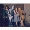 Image 5 : Wizard of Oz