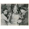 Image 1 : Wizard of Oz: Ray Bolger
