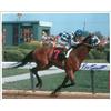 Image 2 : Horse Racing: Ron Turcotte