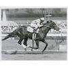 Image 1 : Willie Shoemaker