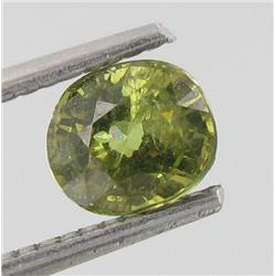 1.14ct Unheated Natural Green Demantoid Garnet (GEM-22563)
