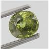 Image 1 : 1.14ct Unheated Natural Green Demantoid Garnet (GEM-22563)
