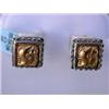 Image 1 : Silver and Gold Earrings