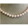 Image 1 : Colored Shell Pearl Necklace with Yellow Gold Clasp