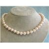 Image 2 : Colored Shell Pearl Necklace with Yellow Gold Clasp