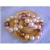 Image 5 : Colored Shell Pearl Necklace with Gold Clasp