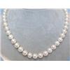Image 1 : Pearl Necklace with White Gold 14k Clasp