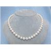 Image 2 : Pearl Necklace with White Gold 14k Clasp
