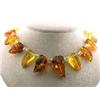Image 2 : Amber Necklace