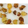 Image 3 : Amber Necklace