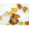 Image 4 : Amber Necklace