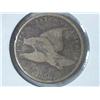Image 1 : 1858 (SMALL LETTER) FLYING EAGLE CENT