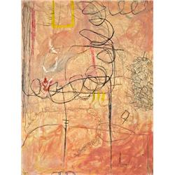 Abstract by Raffi Lavie