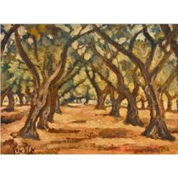 An Old Olive Grove by Arieh Allweil