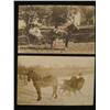 Image 1 : 2 Antique Real Photo Postcards Horse & Buggy, Sled