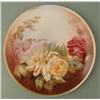 Image 1 : Thomas Bavaria Pallanza Hand Painted Rose 10 In Plate