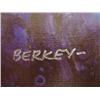 Image 3 : FORCE OF LIFE POWER DEATH Berkey Star Wars Art Canvas