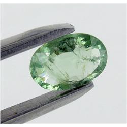 1.02ct Fancy Paraiba Tourmaline Oval Cut (GEM-26258)