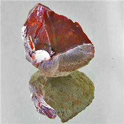 39.3ct Ethiopian Showa Opal Rough  (GEM-27982)