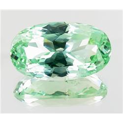 20.10ct Natural Patroke Green Kunzite  (GEM-24757)