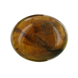 3.49ct Natural Multi Color Tourmaline Cabochon (GEM-26410)